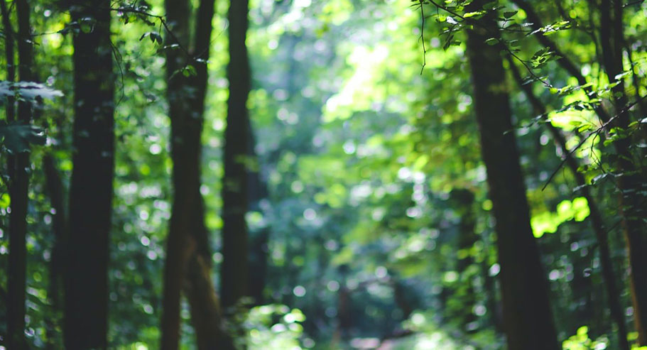 Jiaxing Xuanyi Internationalis Trade Co.,Ltd