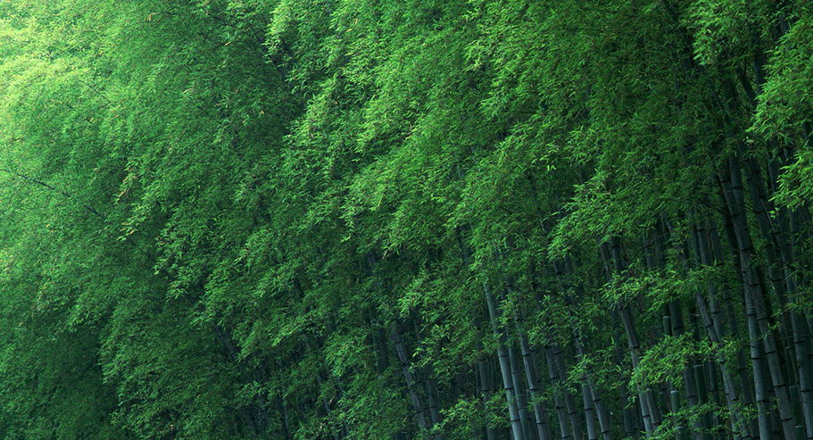 Jiaxing Xuanyi Internationalis Trade Co.,Ltd